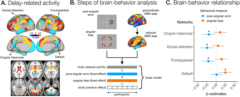 Individual differences in spatial working memory strategies differentially reflected in the engagement of control and default brain networks.