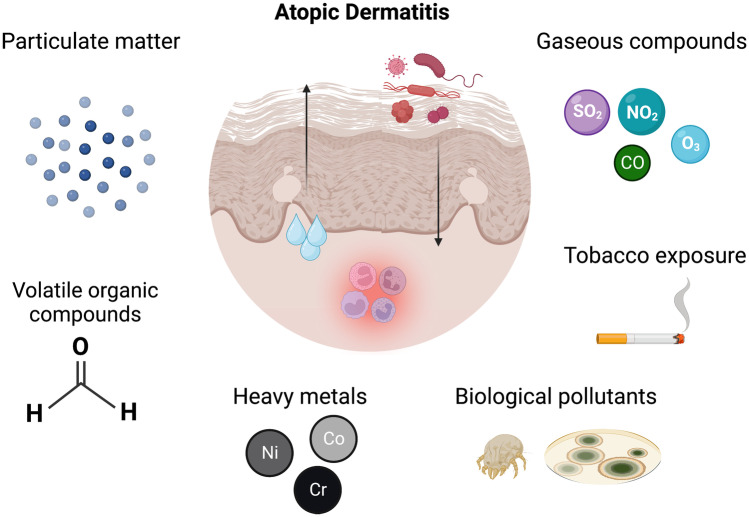 The Impact of Air Pollution on Atopic Dermatitis.