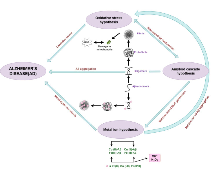 Multifunctional role of zinc in human health: an update.