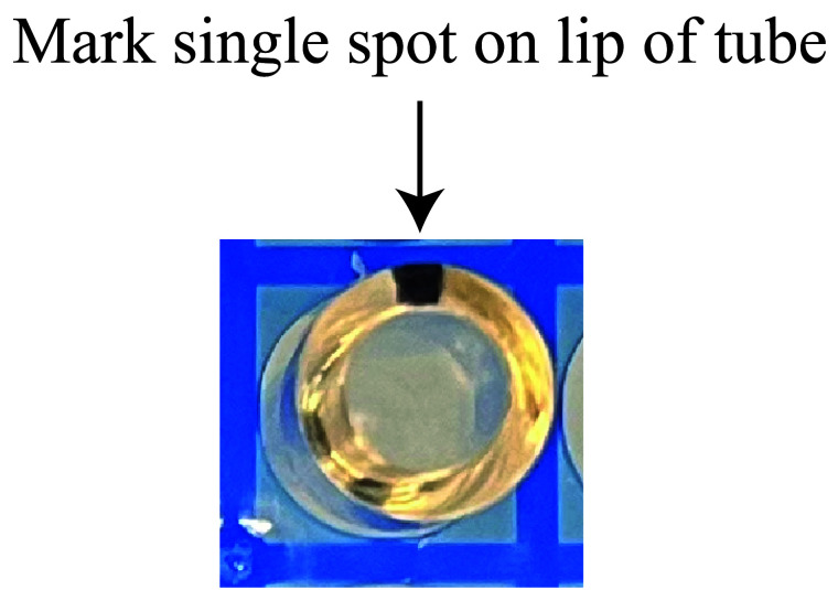 In vitro Analysis of Stalled Ribosomes Using Puromycin Incorporation.