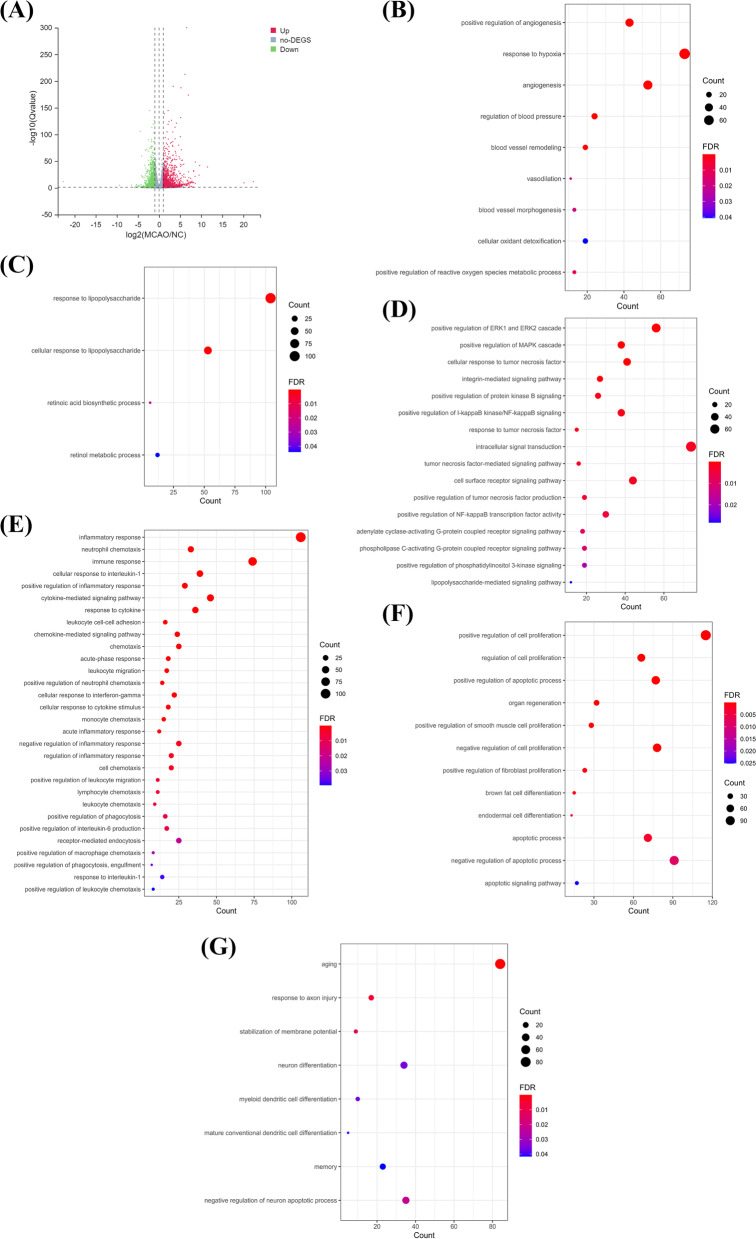 Comparative transcriptome findings reveal the neuroinflammatory network and potential biomarkers to early detection of ischemic stroke.