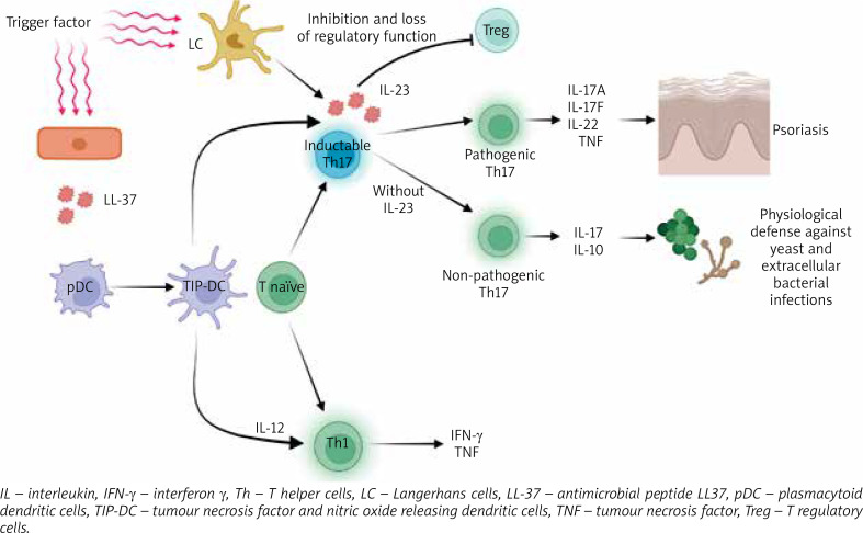 Does molecular scarring in psoriasis exist? A review of the literature.