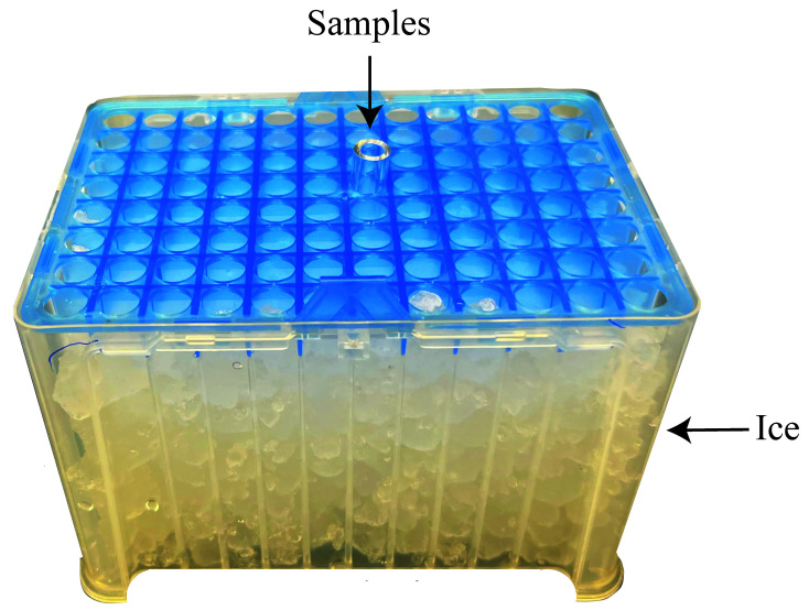 In vitro Analysis of Stalled Ribosomes Using Puromycin Incorporation.