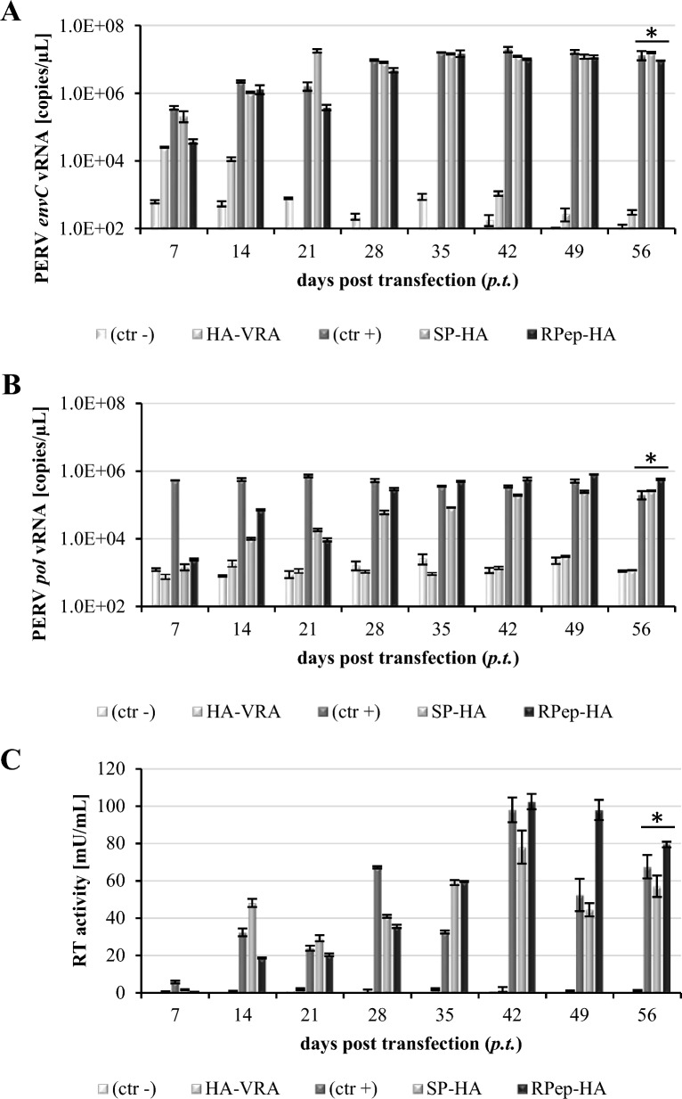 Analysis of PERV-C superinfection resistance using HA-tagged viruses.