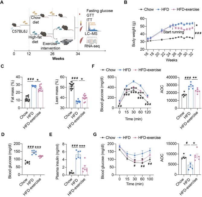 An integrative profiling of metabolome and transcriptome in the plasma and skeletal muscle following an exercise intervention in diet-induced obese mice.