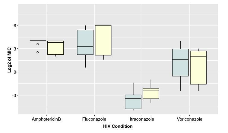 In vitro sensitivity of Malassezia furfur isolates from HIV-positive and negative patients to antifungal agents