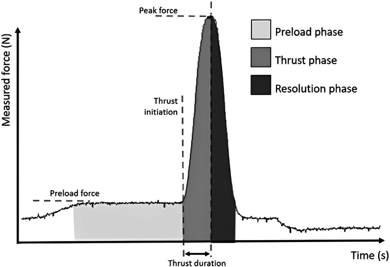 Investigation of the factors influencing spinal manipulative therapy force transmission through the thorax: a cadaveric study.