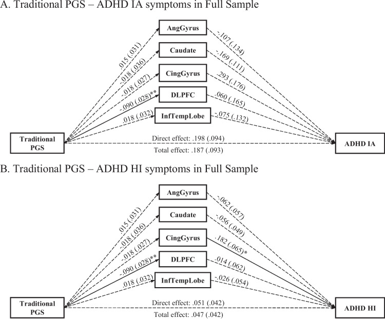 Neurogenetic mechanisms of risk for ADHD: Examining associations of polygenic scores and brain volumes in a population cohort.