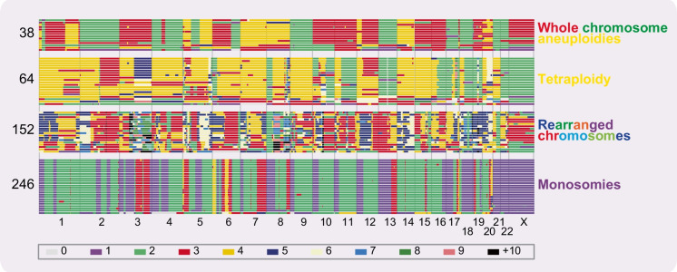 Exploiting a living biobank to delineate mechanisms underlying disease-specific chromosome instability.