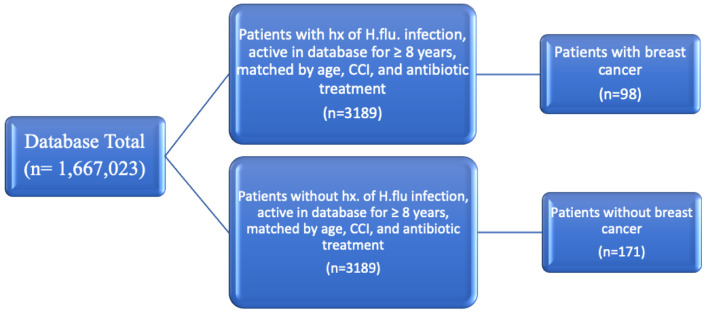 <i>Hemophilus influenzae</i> Infection's Association With Decreased Risk of Breast Cancer.