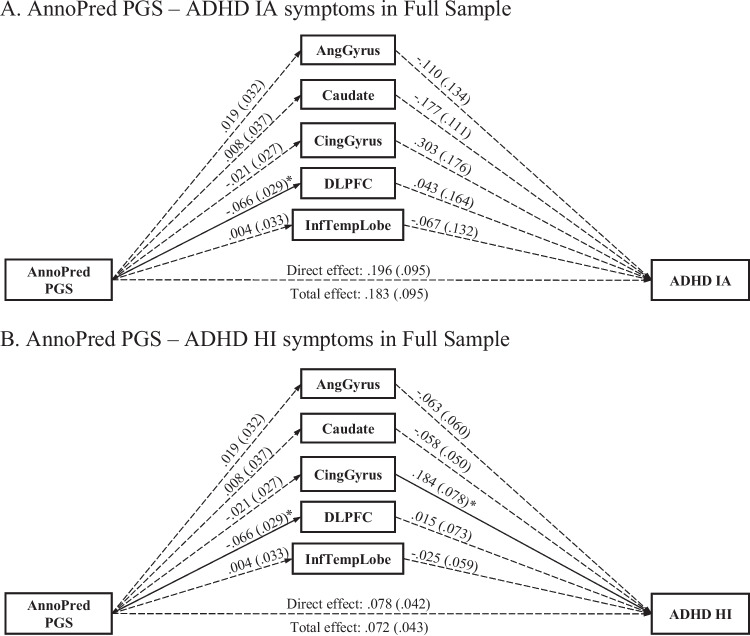 Neurogenetic mechanisms of risk for ADHD: Examining associations of polygenic scores and brain volumes in a population cohort.