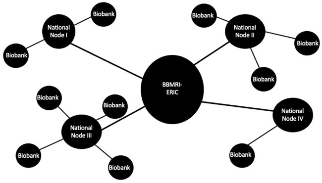 Infrastructuring European scientific integration: Heterogeneous meanings of the European biobanking infrastructure BBMRI-ERIC.