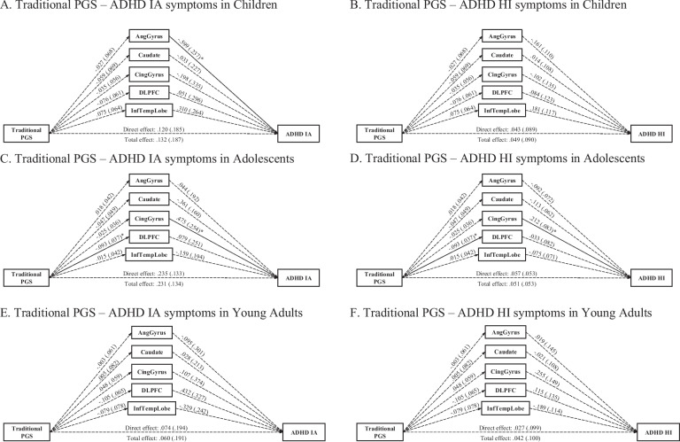 Neurogenetic mechanisms of risk for ADHD: Examining associations of polygenic scores and brain volumes in a population cohort.