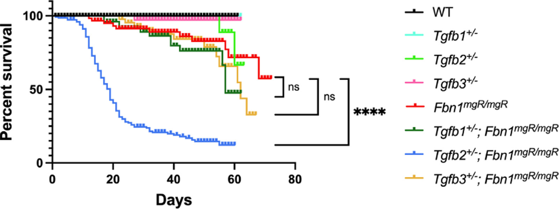 TGFβ-2 haploinsufficiency causes early death in mice with Marfan syndrome