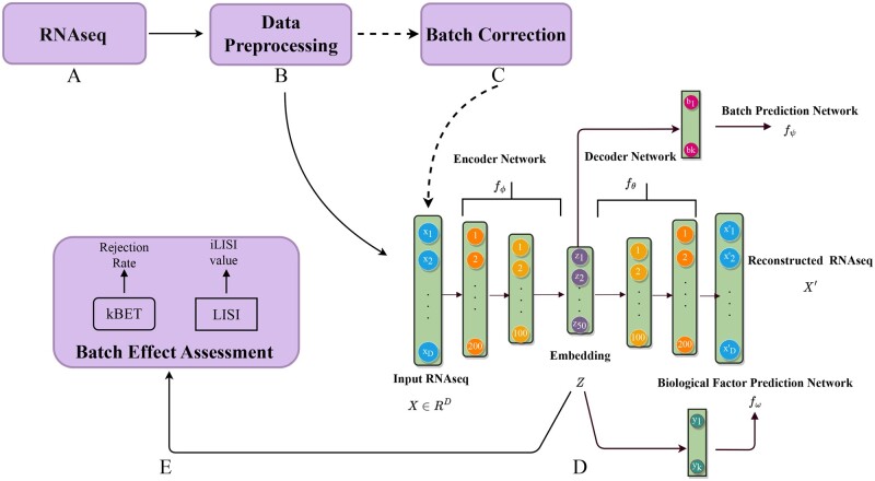 BEENE: deep learning-based nonlinear embedding improves batch effect estimation.