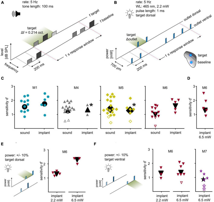 Differential optogenetic activation of the auditory midbrain in freely moving behaving mice.