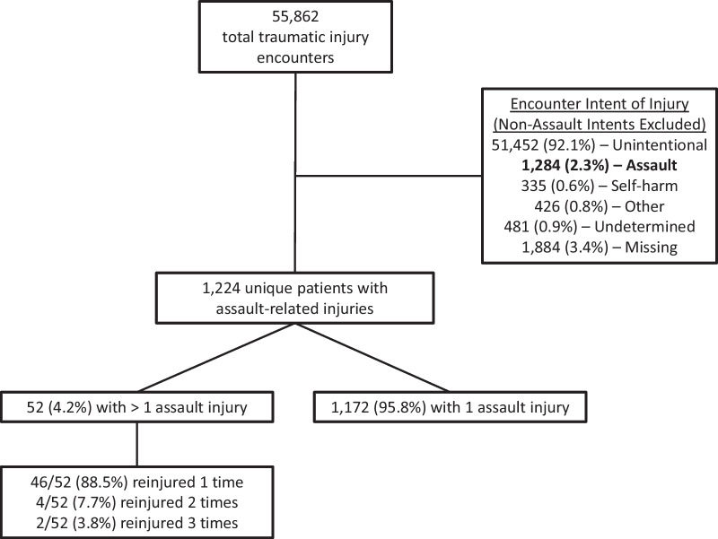 Characteristics and neighborhood-level opportunity of assault-injured children in Milwaukee.