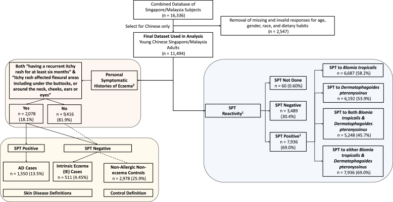 Dietary Protein Intake and Associated Risks for Atopic Dermatitis, Intrinsic Eczema, and Allergic Sensitization among Young Chinese Adults in Singapore/Malaysia: Key Findings from a Cross-sectional Study