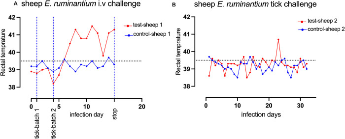 De novo assembly and annotation of the Amblyomma hebraeum tick midgut transcriptome response to Ehrlichia ruminantium infection.