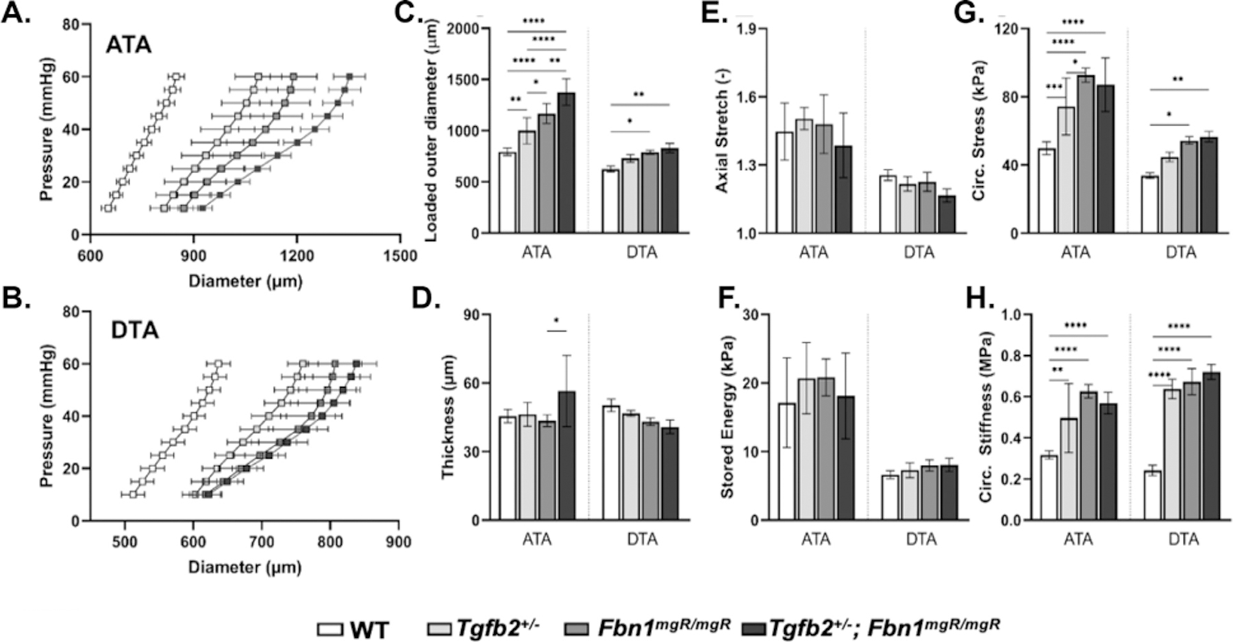 TGFβ-2 haploinsufficiency causes early death in mice with Marfan syndrome