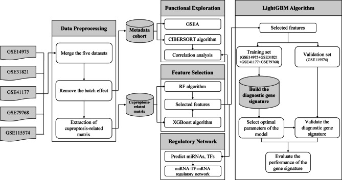 Construction and validation of a cuproptosis-related diagnostic gene signature for atrial fibrillation based on ensemble learning.