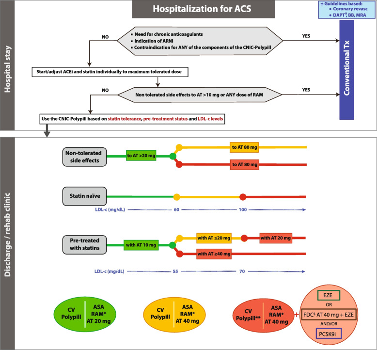 The use of the CNIC-Polypill in real-life clinical practice: opportunities and challenges in patients at very high risk of atherosclerotic cardiovascular disease - expert panel meeting report.