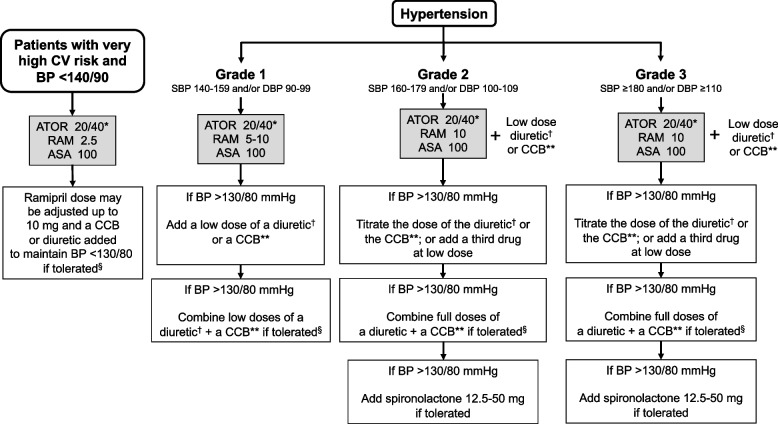 The use of the CNIC-Polypill in real-life clinical practice: opportunities and challenges in patients at very high risk of atherosclerotic cardiovascular disease - expert panel meeting report.