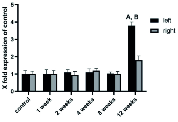 The time course of nod-like receptor family pyrin domain containing 3 inflammasome complex expressions in the testis tissue of an experimental varicocele rat model: An experimental study.