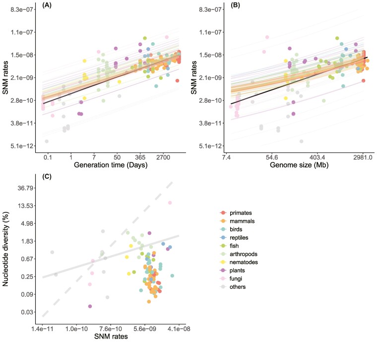 Experimental estimates of germline mutation rate in eukaryotes: a phylogenetic meta-analysis.