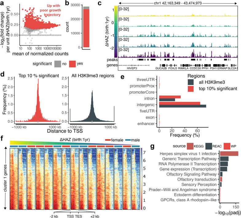 Globally elevated levels of histone H3 lysine 9 trimethylation in early infancy are associated with poor growth trajectory in Bangladeshi children.