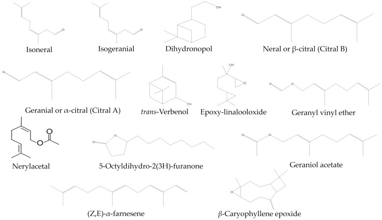 Insights into the toxicity, biochemical activity, and molecular docking of Cymbopogon citratus essential oils and citral on Spodoptera littoralis (Lepidoptera: Noctuidae).