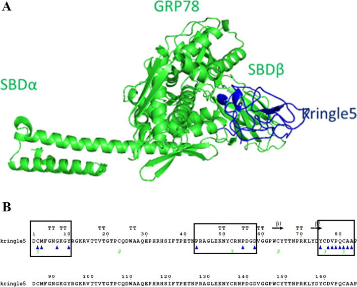 A computational peptide model induces cancer cells' apoptosis by docking Kringle 5 to GRP78.