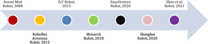 Technical Aspects and Clinical Outcomes of Robotic Ureteroscopy: Is It Ready for Primetime?