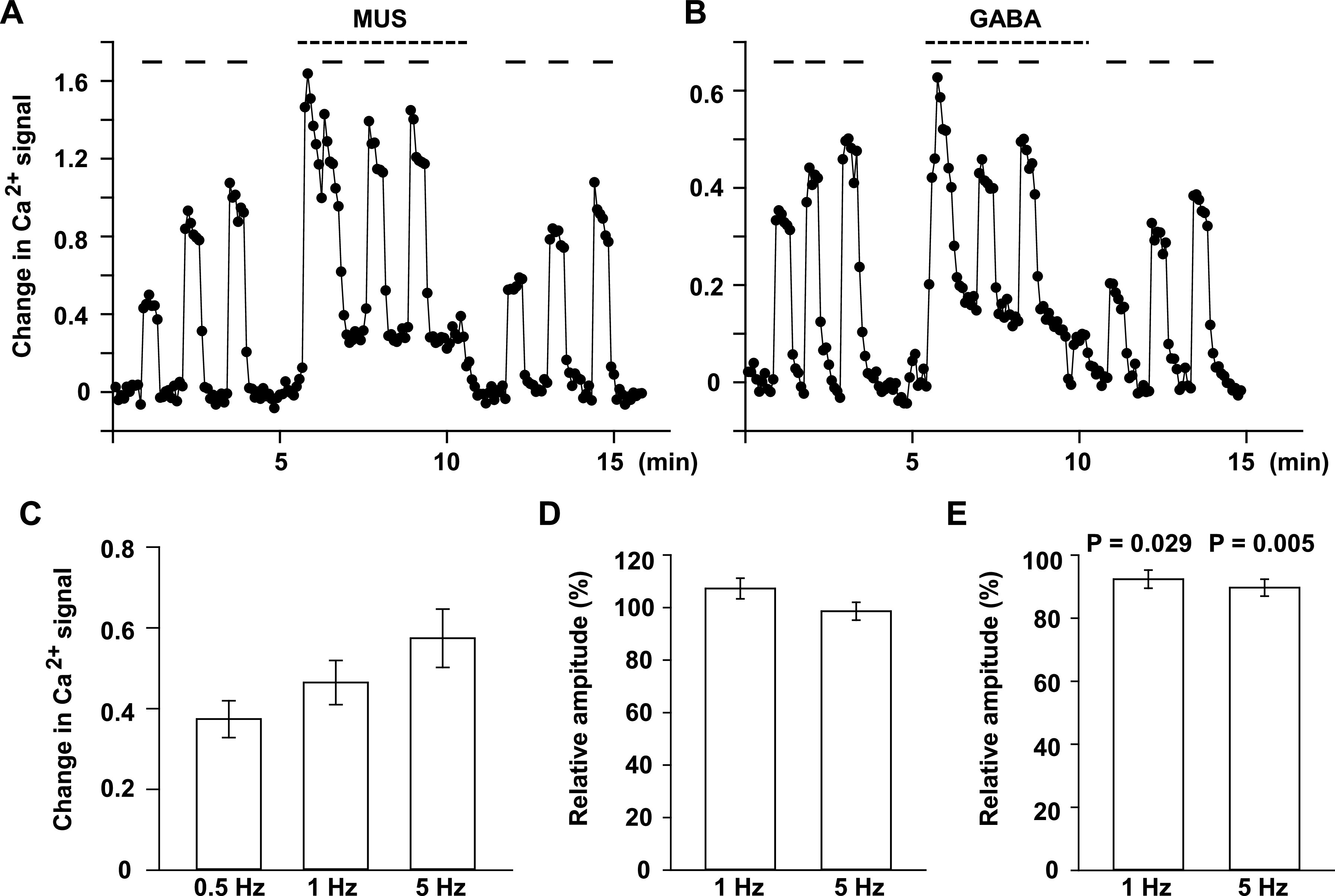 Muscarinic Receptor Stimulation Does Not Inhibit Voltage-dependent Ca<sup>2+</sup> Channels in Rat Adrenal Medullary Chromaffin Cells.