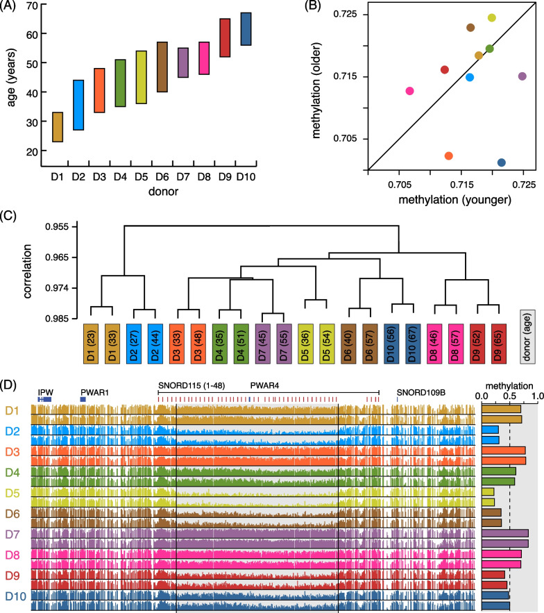 Global effects of identity and aging on the human sperm methylome.