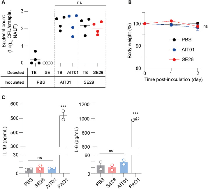 A Moonlighting Protein Secreted by a Nasal Microbiome Fortifies the Innate Host Defense Against Bacterial and Viral Infections.