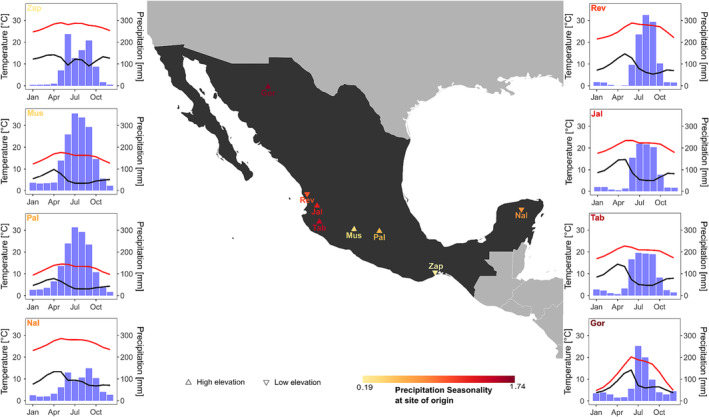 Differences in mucilage properties and stomatal sensitivity of locally adapted <i>Zea mays</i> in relation with precipitation seasonality and vapour pressure deficit regime of their native environment.