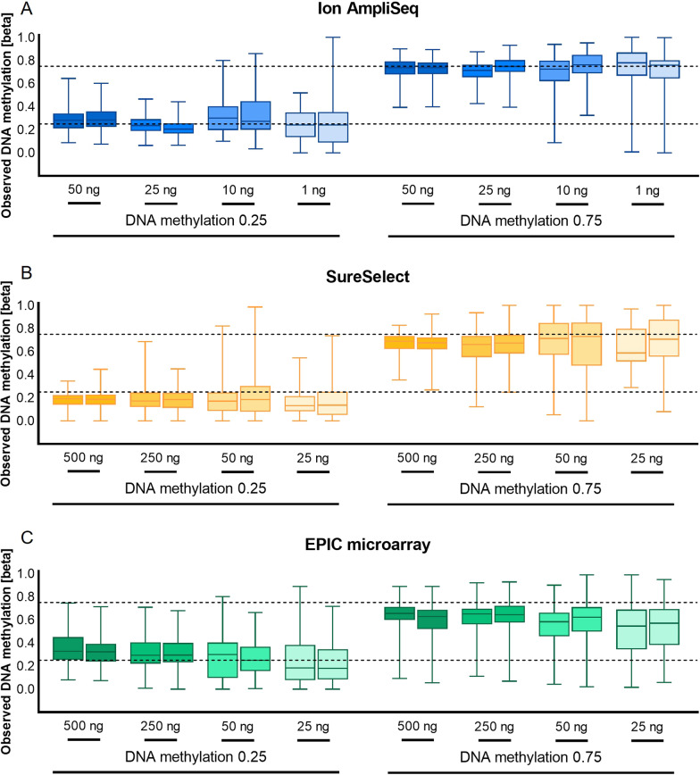 Introduction of a multiplex amplicon sequencing assay to quantify DNA methylation in target cytosine markers underlying four selected epigenetic clocks.