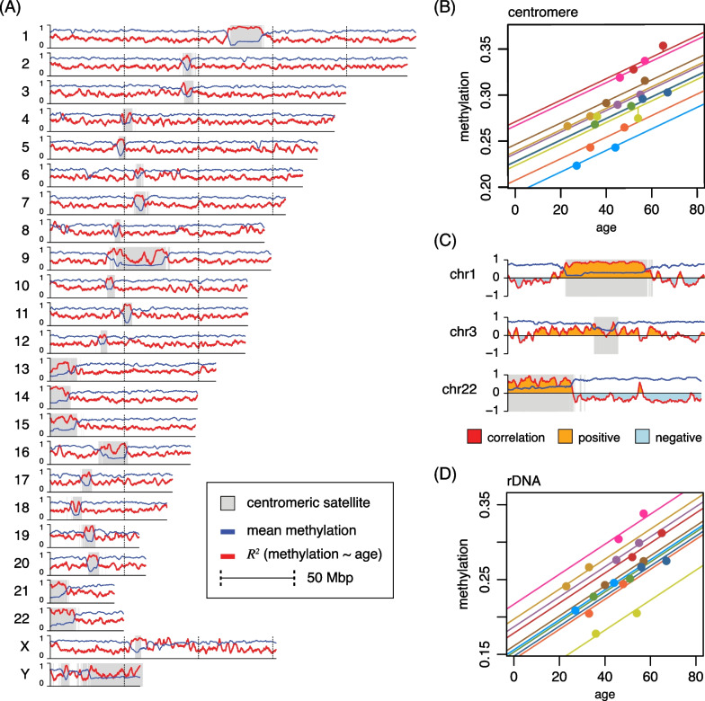 Global effects of identity and aging on the human sperm methylome.