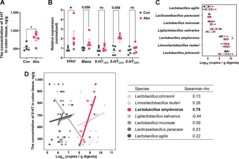 Regulation of serotonin production by specific microbes from piglet gut.