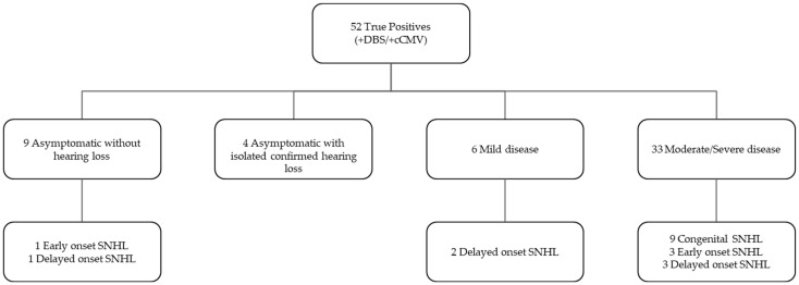 Utility of Dried Blood Spots for the Diagnosis of Congenital Cytomegaloviruses within the First 21 Days of Life in a Single Center.