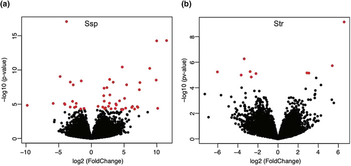 Transcriptome analyses of leaf architecture in <i>Sansevieria</i> support a common genetic toolkit in the parallel evolution of unifacial leaves in monocots.