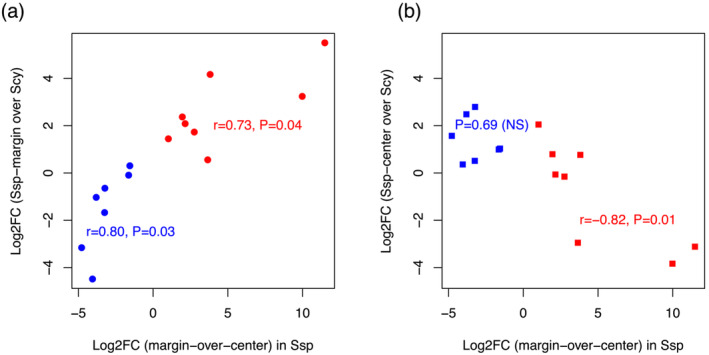 Transcriptome analyses of leaf architecture in <i>Sansevieria</i> support a common genetic toolkit in the parallel evolution of unifacial leaves in monocots.