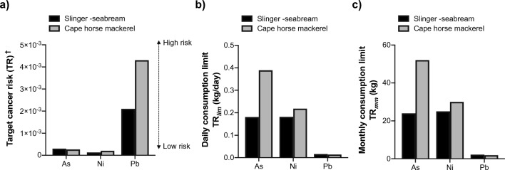 Bioaccumulation, Bioindication and Health Risk Assessment of Heavy Metals in Cape Horse Mackerel (Trachurus trachurus) and Slinger Seabream (Chrysoblephus puniceus) in the Durban Basin and Cape Vidal, South Africa