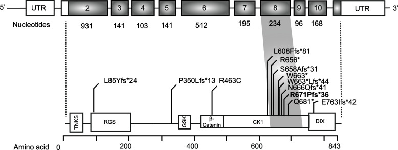 A novel pathogenic frameshift variant in AXIN2 in a man with polyposis and hypodontia.