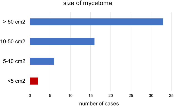 First report on mycetoma in Turkana County-North-western Kenya.