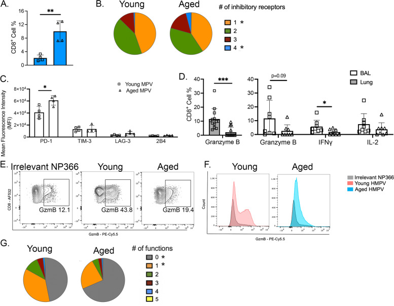 Terminally exhausted CD8<sup>+</sup> T cells contribute to age-dependent severity of respiratory virus infection.