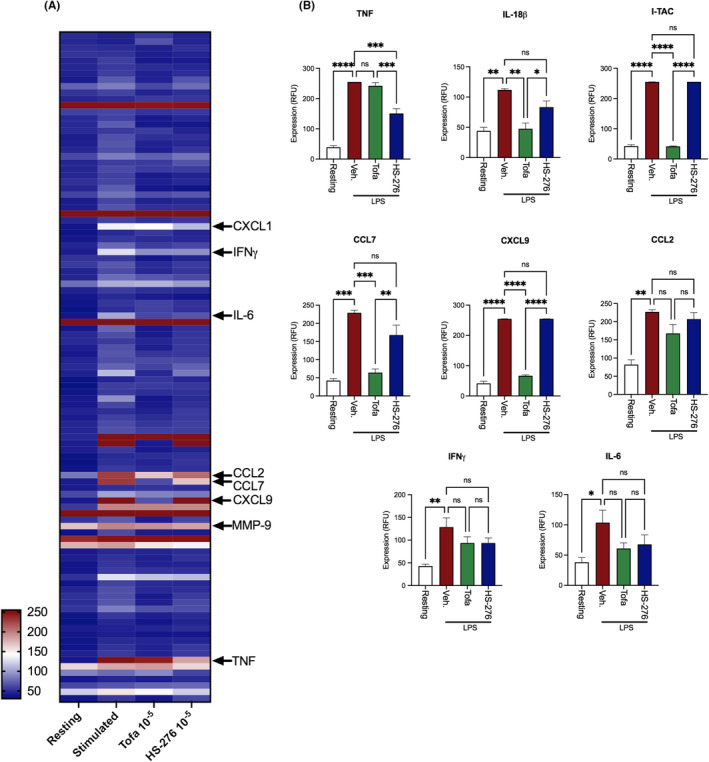 Delineation of the distinct inflammatory signaling roles of TAK1 and JAK1/3 in the CIA model of rheumatoid arthritis.