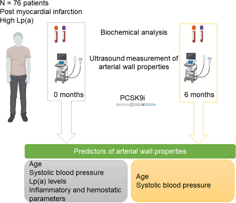 Predictors of functional and morphological arterial wall properties in coronary artery disease patients with increased lipoprotein (a) levels before and after treatment with proprotein convertase subtilisin-kexin type 9 inhibitors.