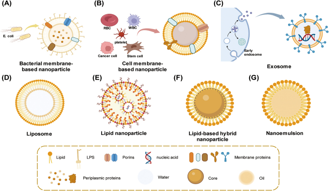Lipid-based nanoparticles for cancer immunotherapy.